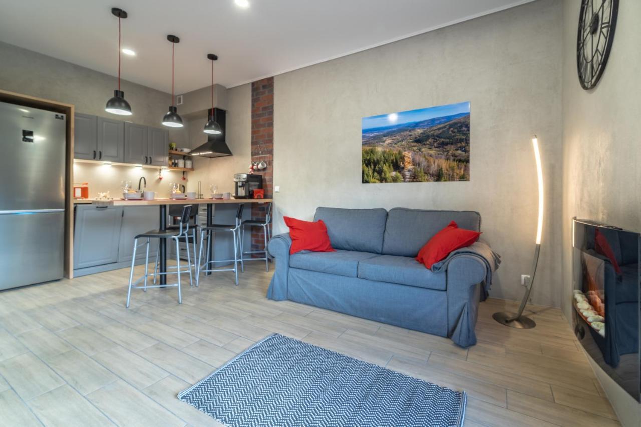 Apartamenty Pod Gondola Swieradow ภายนอก รูปภาพ